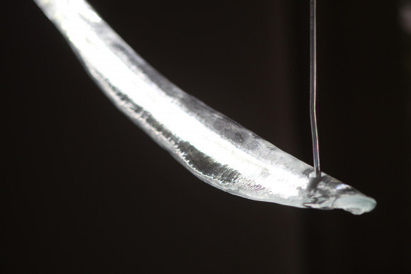 Настенный светильник Sylcom Hari 3802