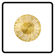 Настенный светильник Pieter Adam Le Soleil PA 200